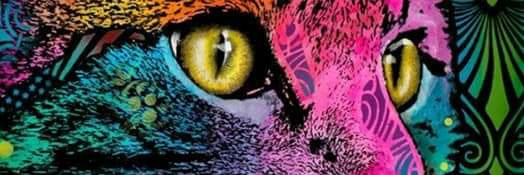 NoeeH22's profile banner image