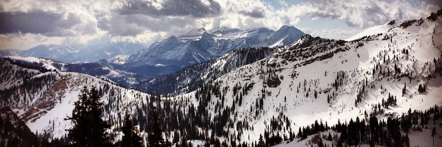 Michael Billings banner