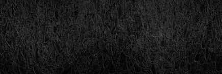 ccake3266's profile banner image