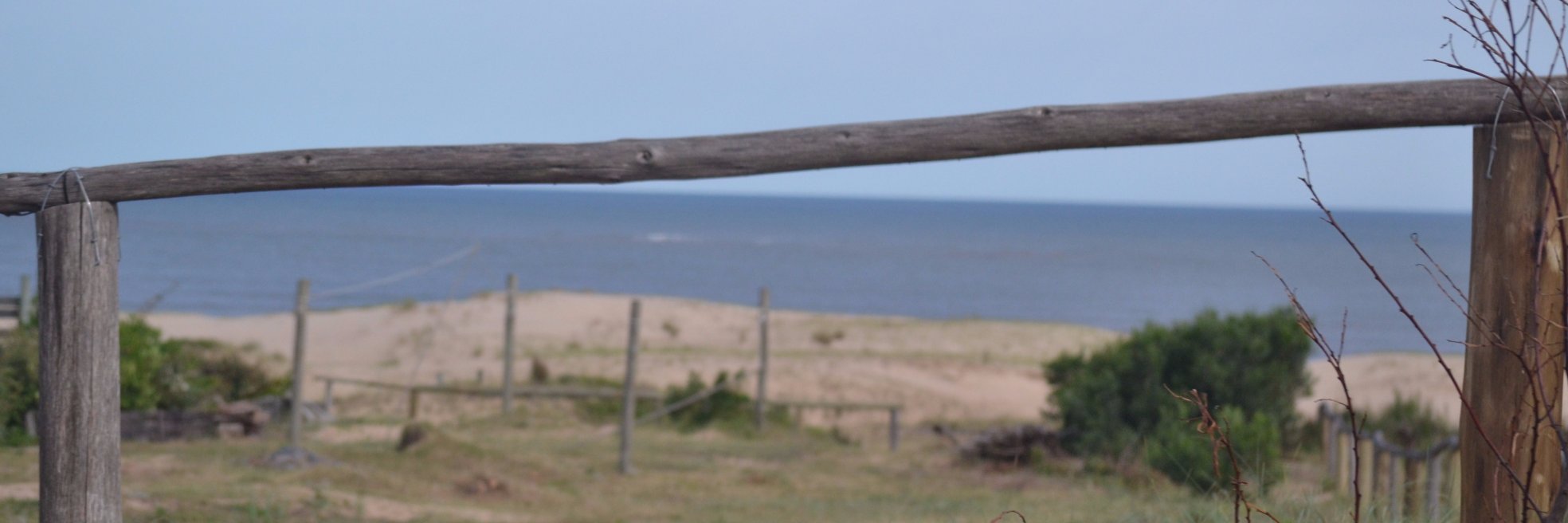 celealma's profile banner image