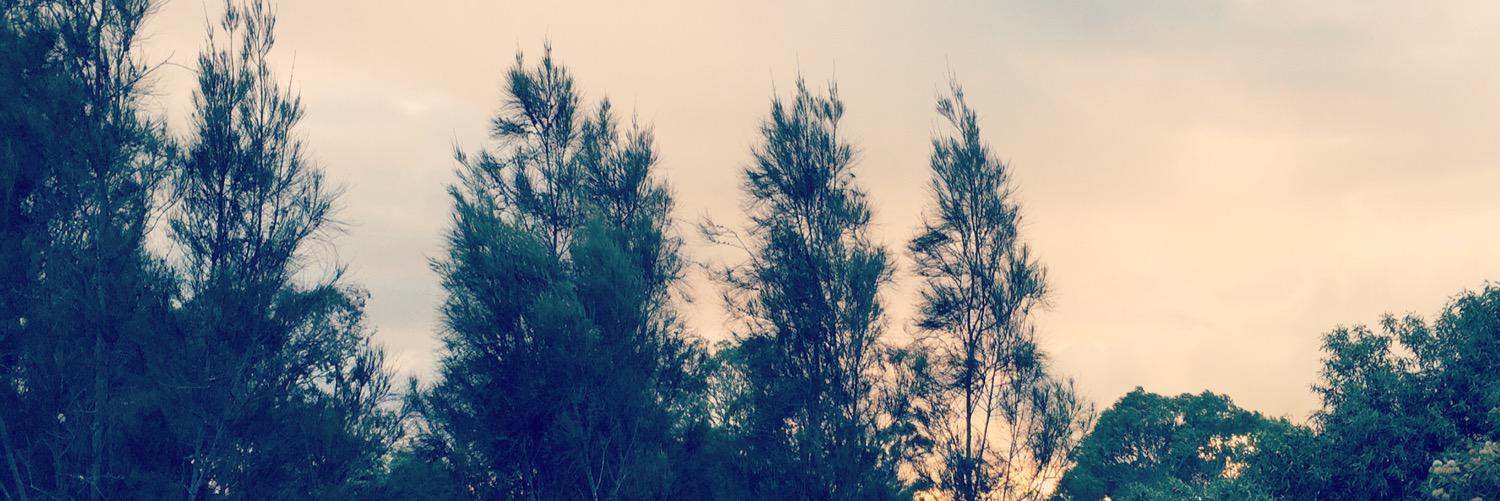 gabecouch's profile banner image