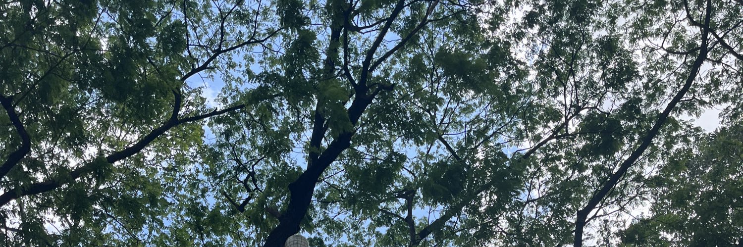 bin ☁️ banner