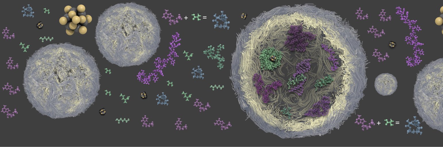 Fabrice Leclerc banner