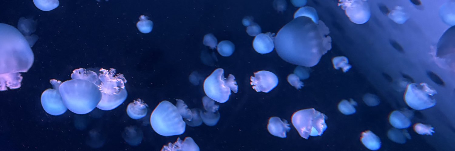 Mochi_cotrpg's profile banner image