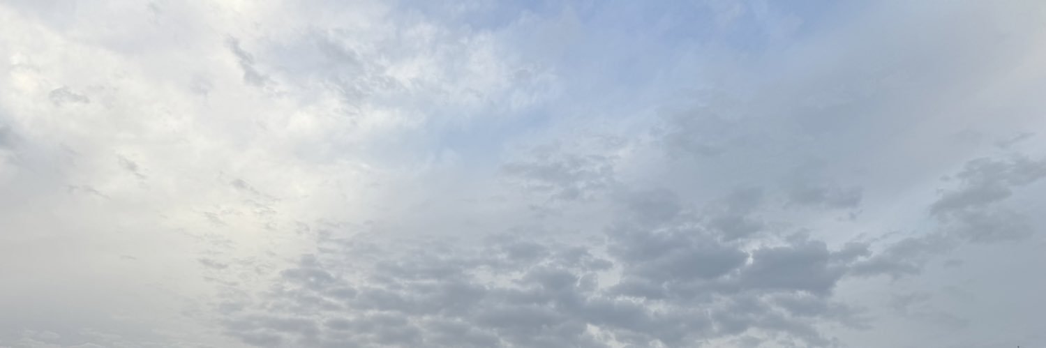 Zyanh banner