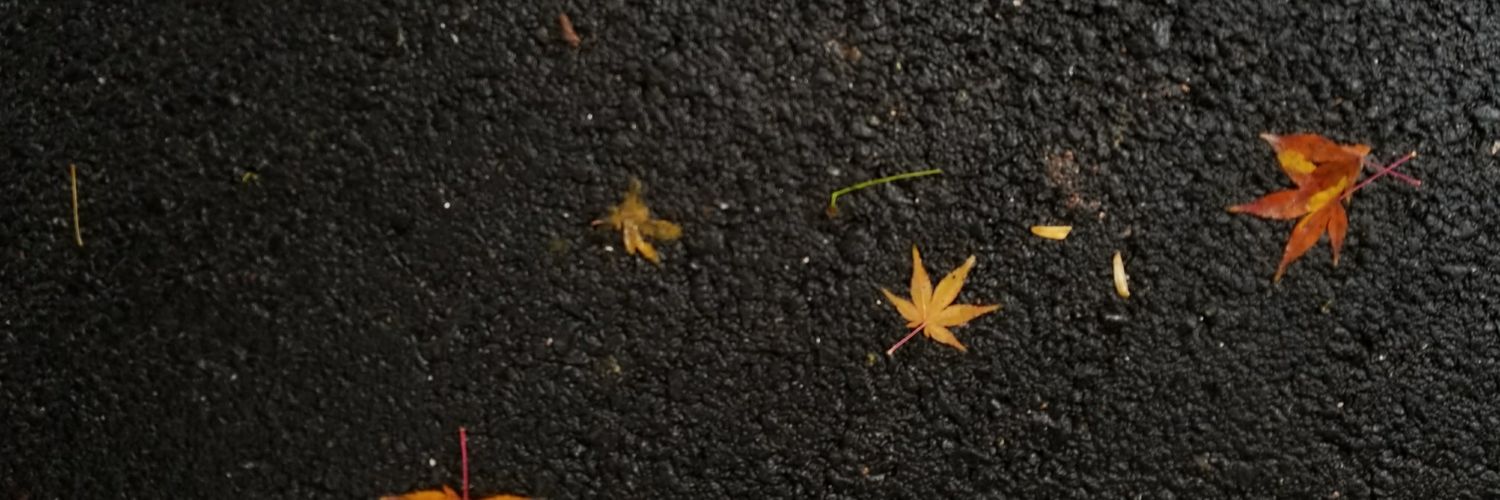shog86's profile banner image