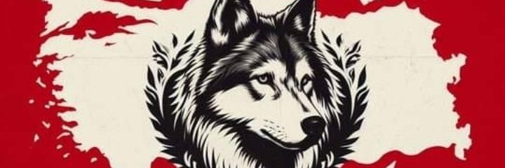 Azadleyman's profile banner image