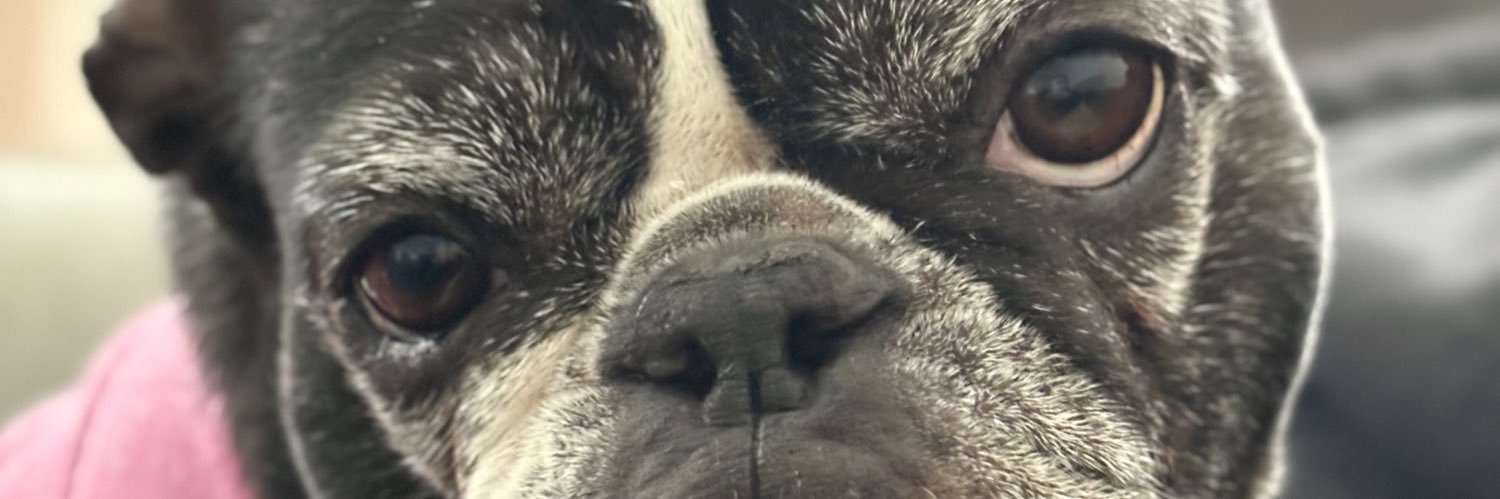 solperezv_'s profile banner image