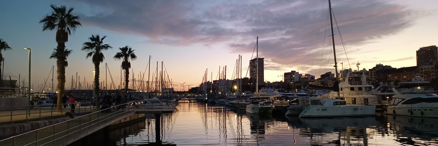 Susan Liebhardt 🏴󠁧󠁢󠁷󠁬󠁳󠁿 banner