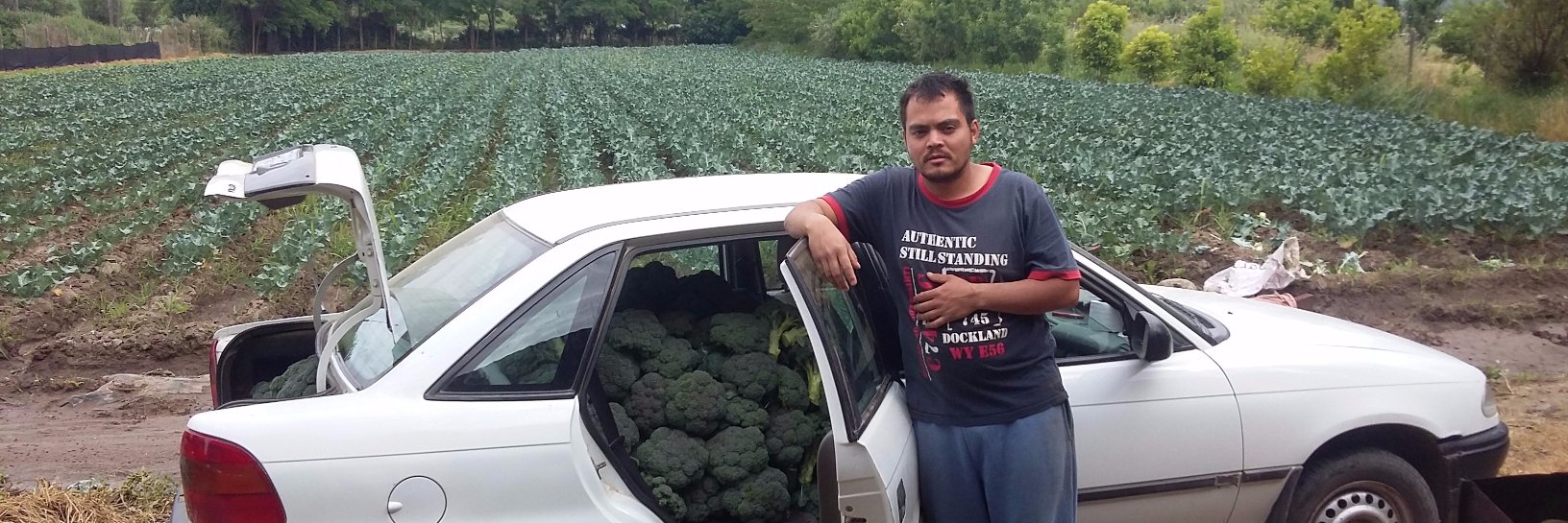 Hector_Ortega_Y's profile banner image