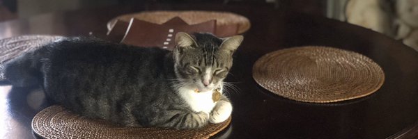 ChuRamirez Profile Banner
