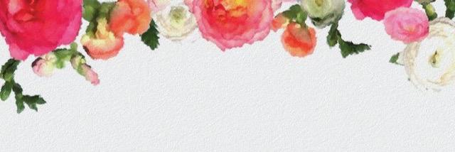 ligiamerlo's profile banner image