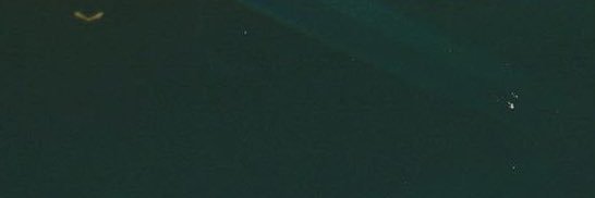 jason sudeikis archive's banner