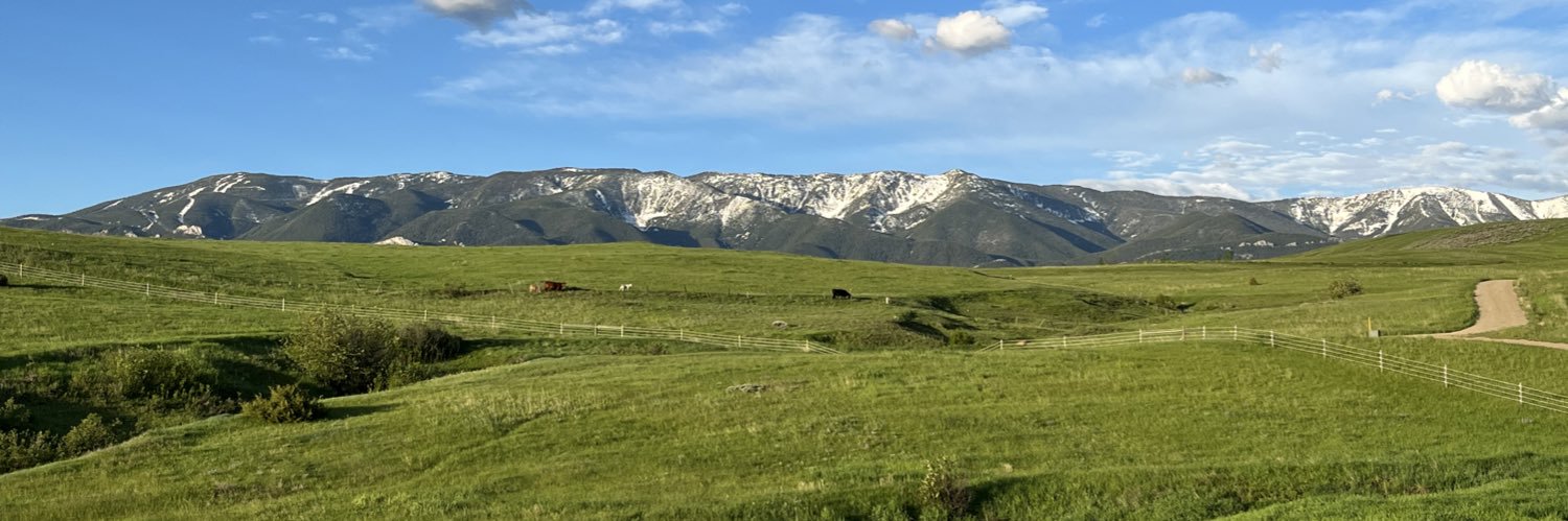 MontanaMan banner