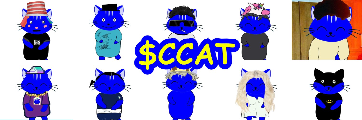 Cardano Cat $CCAT banner