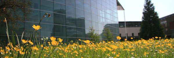 FelixSteffek Profile Banner