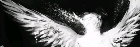 Fanloops's profile banner image
