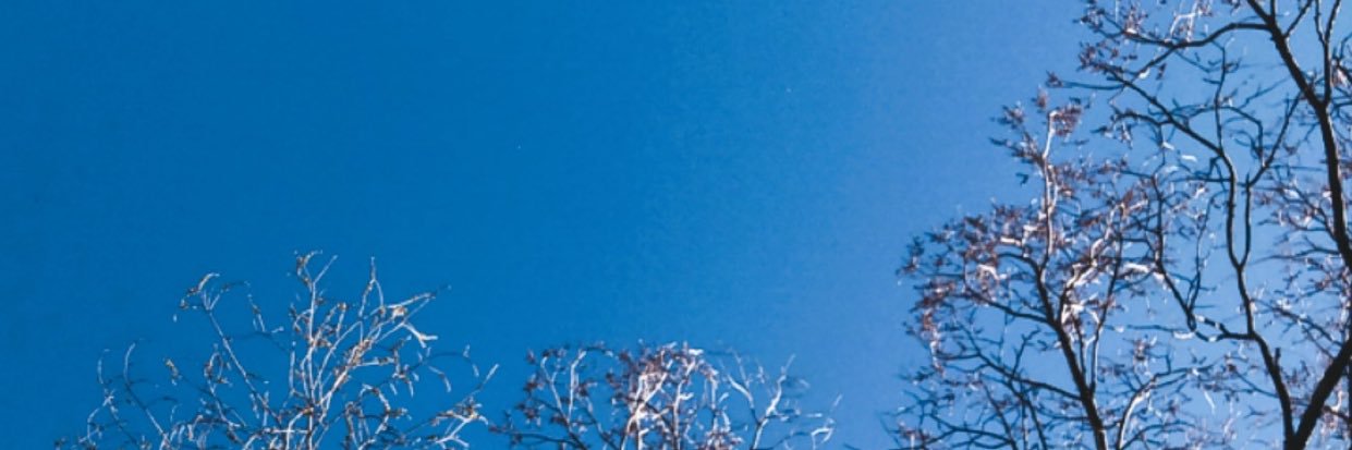 moganotiz's profile banner image