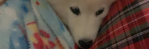 phx_cs Profile Banner