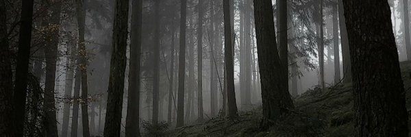 s4dttt Profile Banner