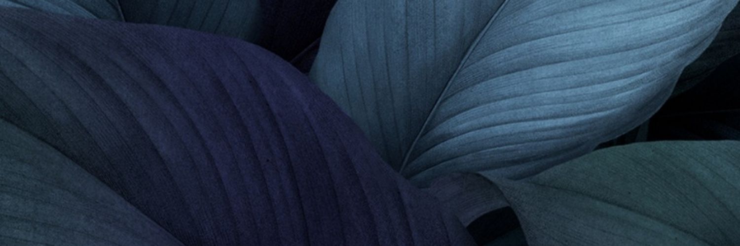Peterson Yormesor. banner