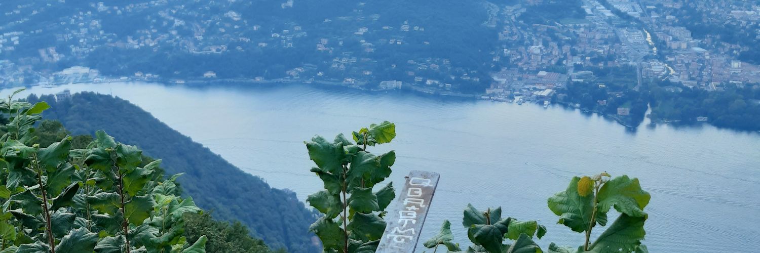TalaChehade's profile banner image