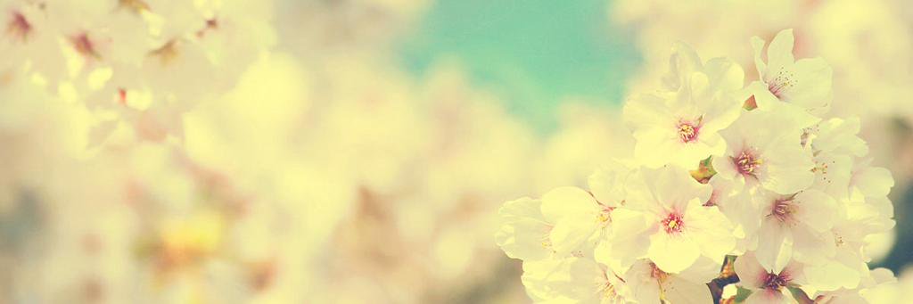Melentha's profile banner image