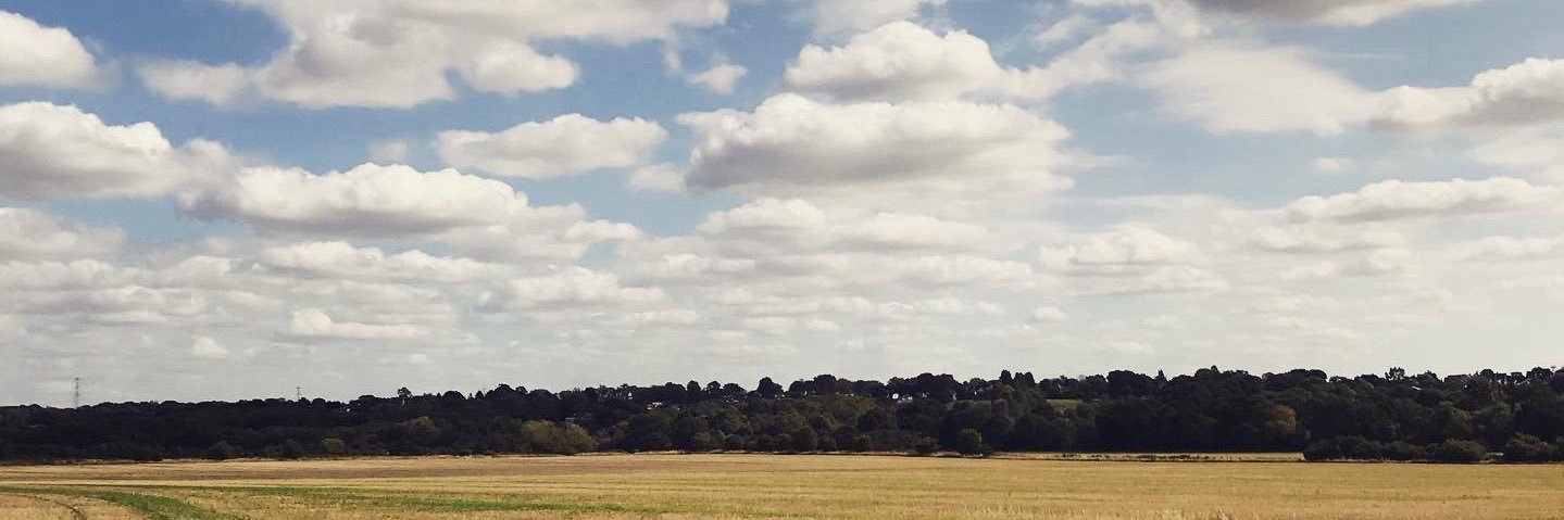 James Pidgeon banner