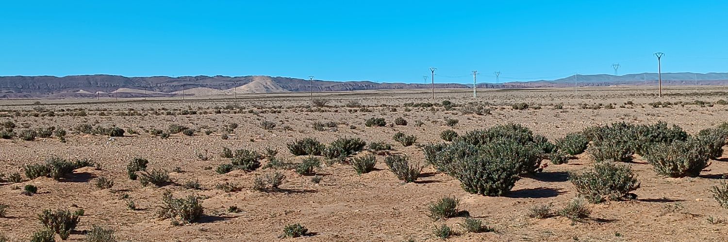 محب الطاكوس banner