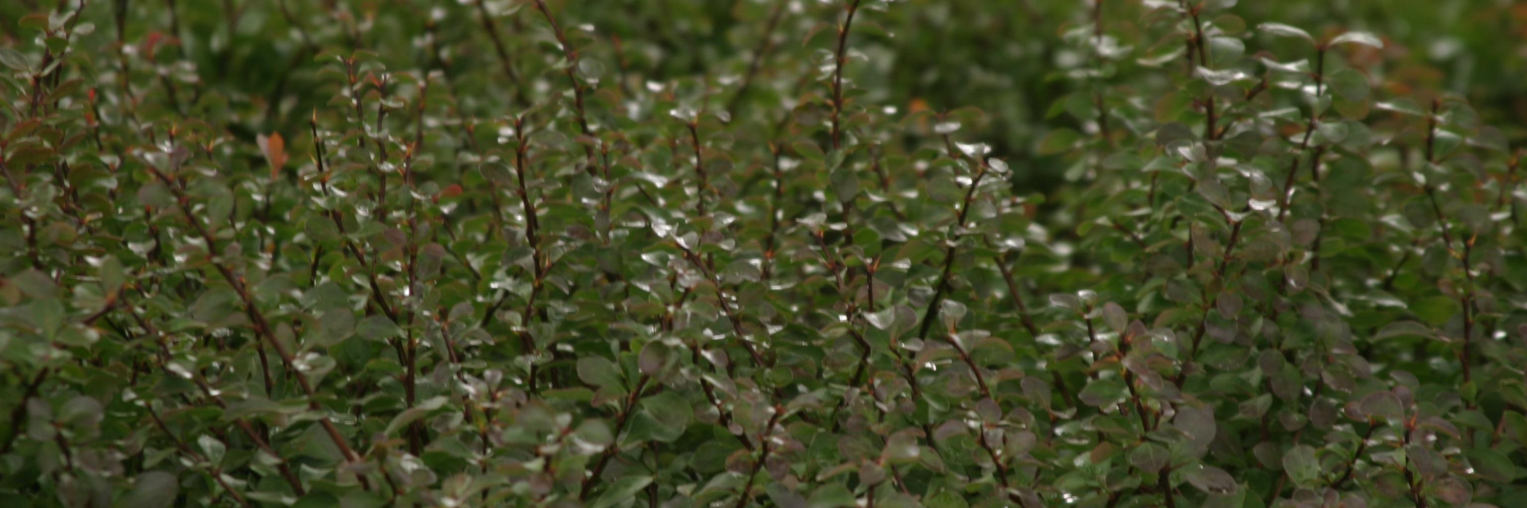 tfchute's profile banner image