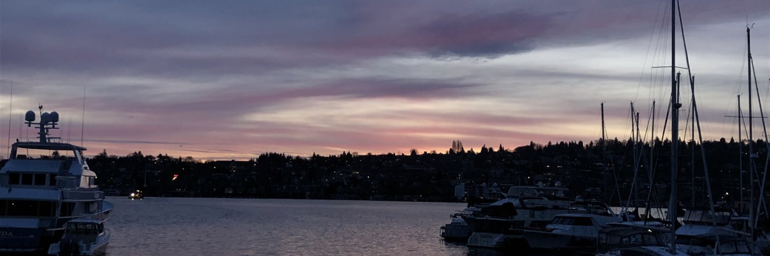 megs_early's profile banner image