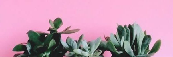 Jamie_Ledezma's profile banner image