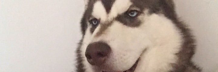 sheiDelafte's profile banner image