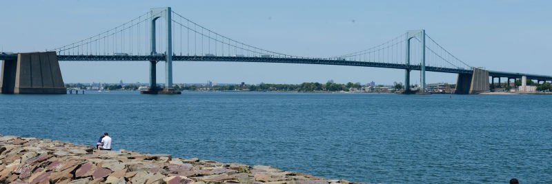 Ed Braunstein banner