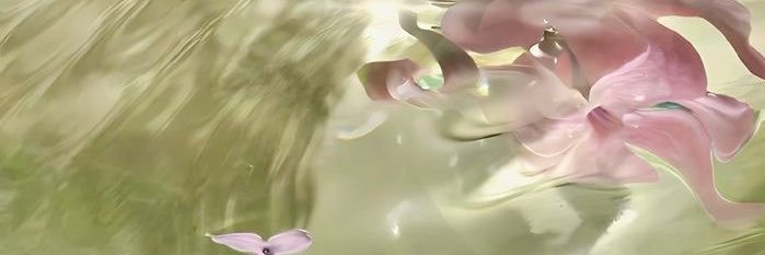 kiyeaye's profile banner image
