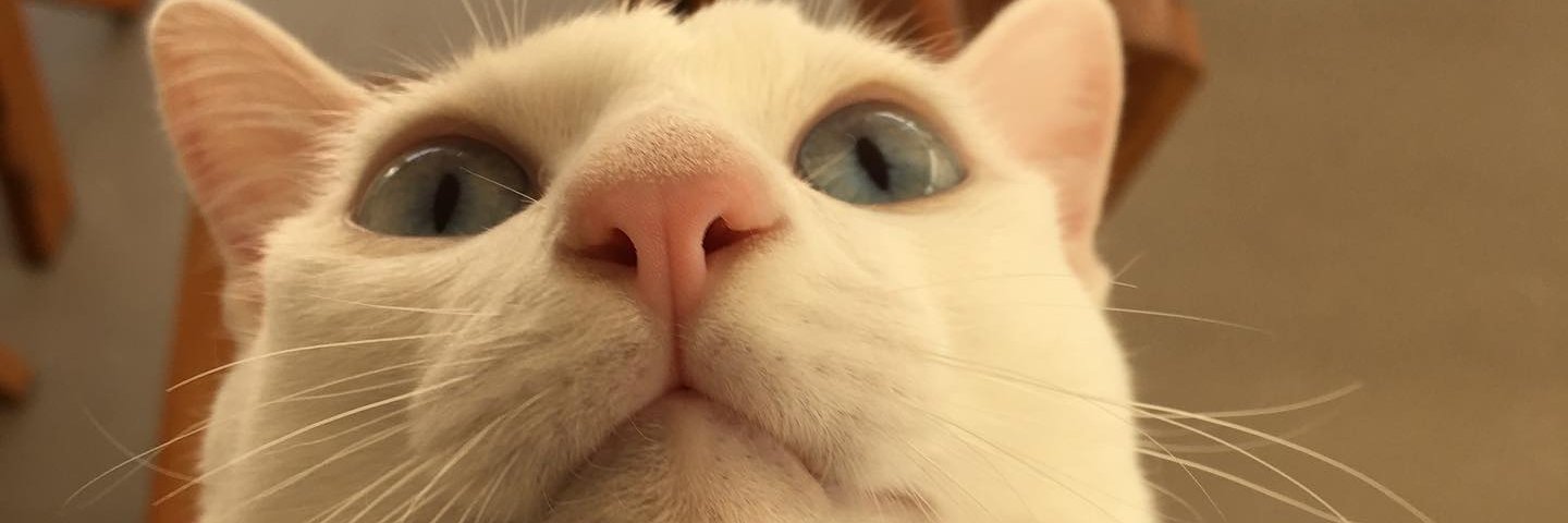 Sᴜɴsʜɪɴᴇ ɪɴ Sᴋʏ◡̈ (Slow) banner
