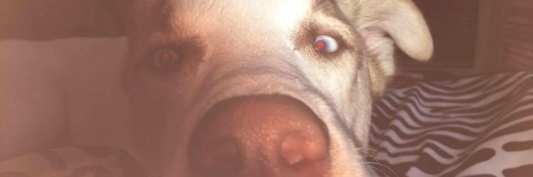 Alexis_Gracee's profile banner image