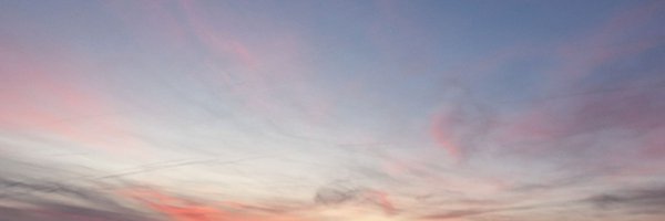 noncanonicAleae Profile Banner