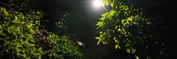 Fat_Cish Profile Banner
