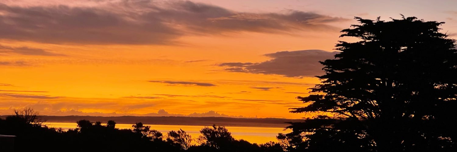 matty (🏳️‍🌈+🇦🇺+🇭🇺) banner