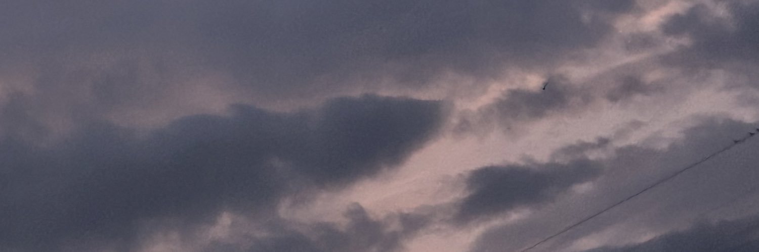 Rea@取引垢 banner