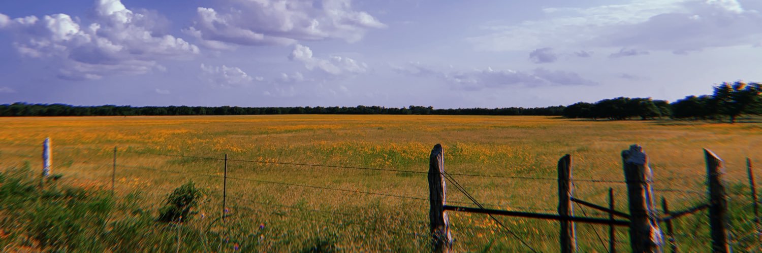 brcrites14's profile banner image