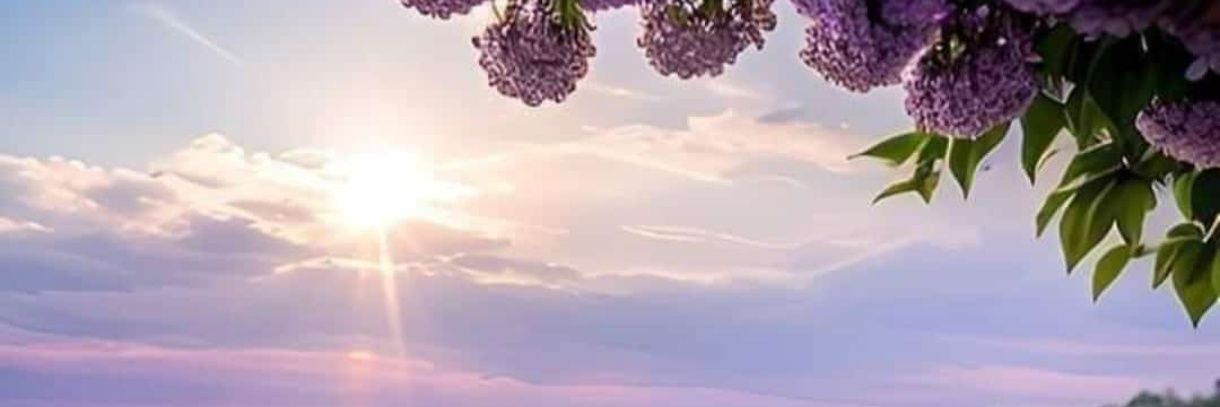 Gal0es's profile banner image