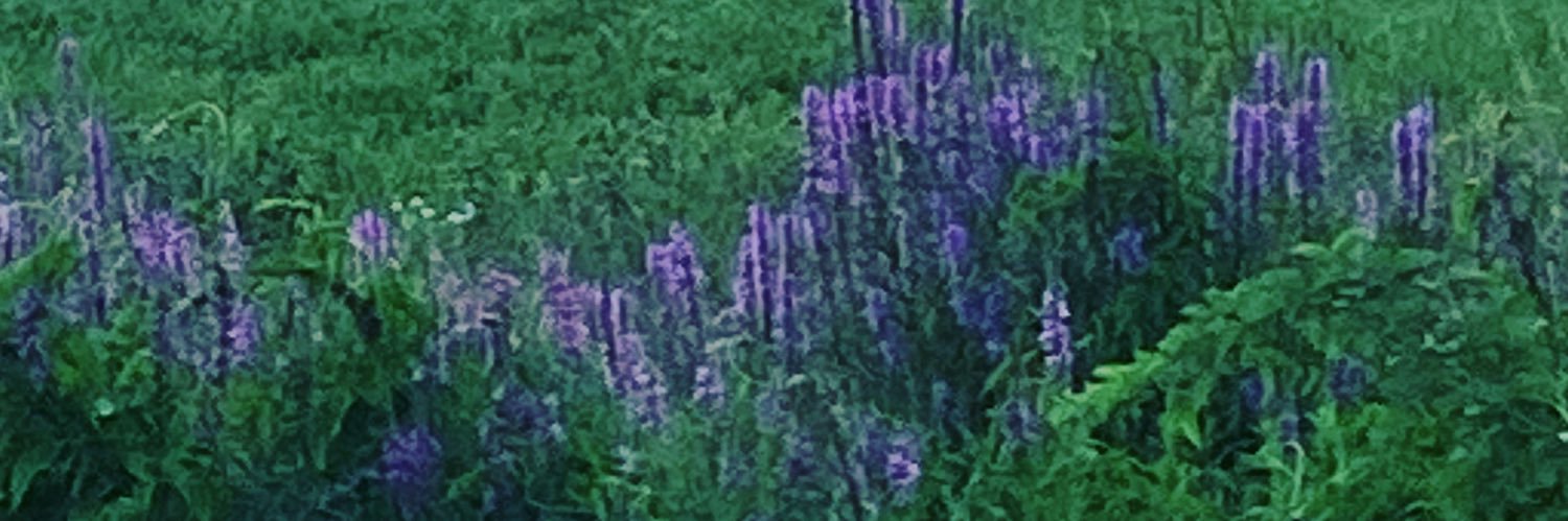 aatwigg's profile banner image