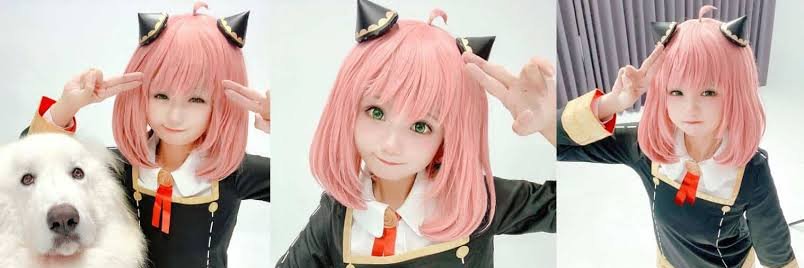 agusmaou's profile banner image