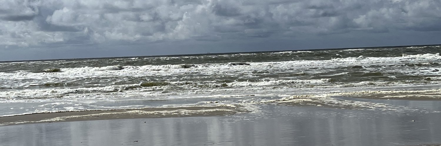 Nina 🇳🇱 banner