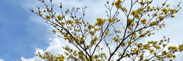 jcartagena07 Profile Banner