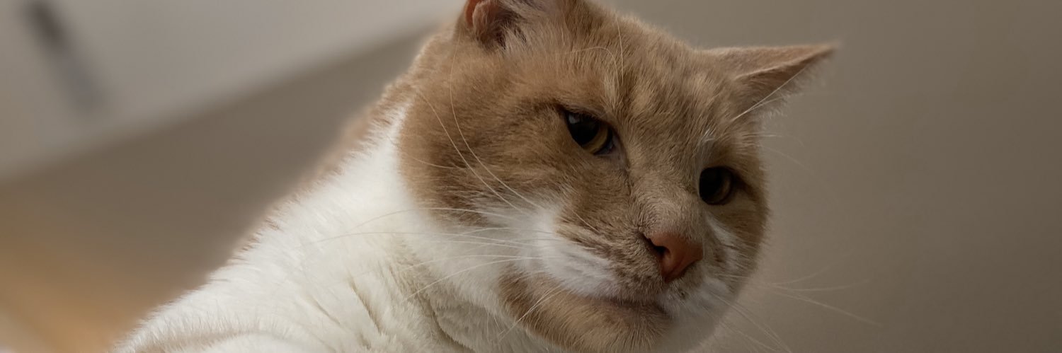 ItsBestiny_'s profile banner image