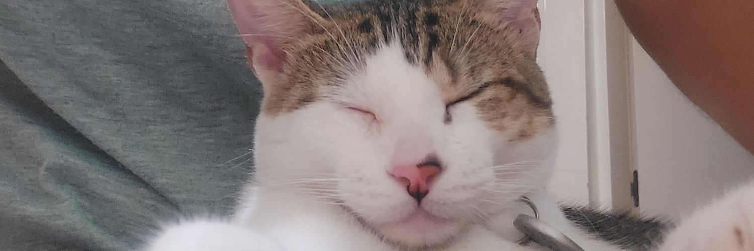 Yhitzae's profile banner image