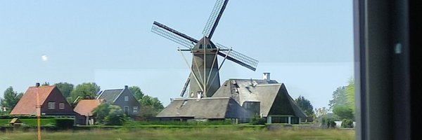 EDee682601 Profile Banner